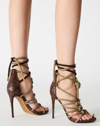 OLIVE CATNYSS