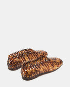 TORTUE DES BOIS