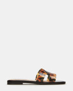 TORTUE HADYN