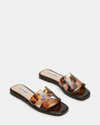 TORTUE HADYN