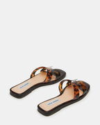 TORTUE HADYN