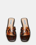 TORTUE HADYN