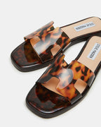 TORTUE HADYN
