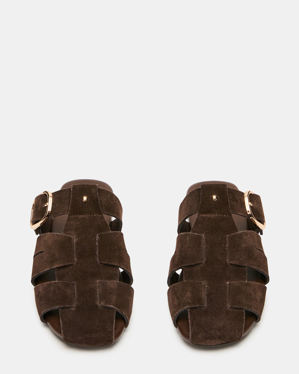 HALO DAIM MARRON