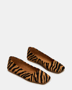 NOURRIR LE ZÈBRE
