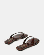 TORTUE TRELLA