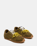 OLIVE MIDAS