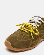 OLIVE MIDAS